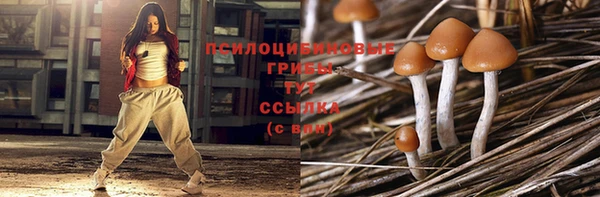 ГАЛЛЮЦИНОГЕННЫЕ ГРИБЫ Алексеевка