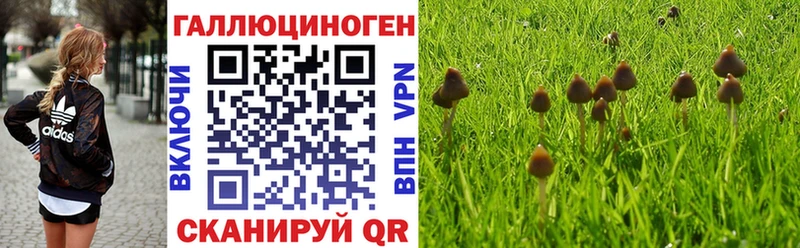 Галлюциногенные грибы мухоморы  хочу наркоту  Нолинск 